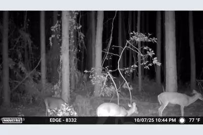 645 Bent Knee Road, Keysville, GA 30816 - Photo 39