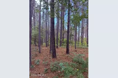645 Bent Knee Road, Keysville, GA 30816 - Photo 33