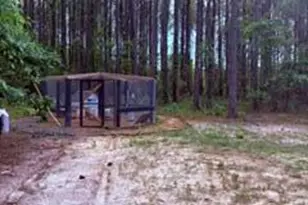 645 Bent Knee Rd, Keysville, GA 30816 - Photo 23