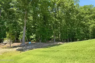 542 Little Rock Ct, Carthage, NC 28327 - Photo 41