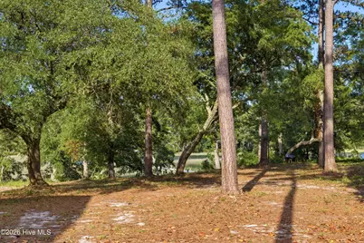 511 Goose Creek Court, Wilmington, NC 28411 - Photo 25