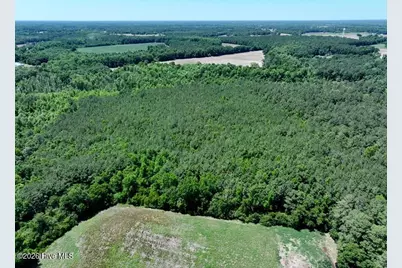 Tbd Sand Rock Road, Fairmont, NC 28340 - Photo 3