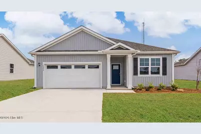1010 Pampas Grass Drive #Lot 325, Castle Hayne, NC 28429 - Photo 1