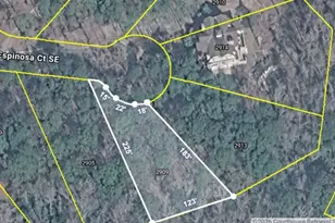 2909 Espinosa Ct SE, Bolivia, NC 28422 - Photo 1