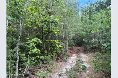 0 E V Hogan Drive, Rockingham, NC 28379 - Photo 9