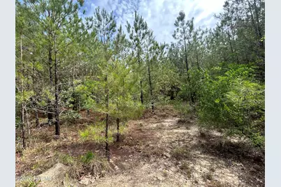 0 E V Hogan Drive, Rockingham, NC 28379 - Photo 11