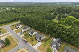 1248 Bristolmoor Dr, Winterville, NC 28590 - Photo 41