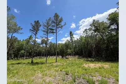 979 Aiken Road, Vass, NC 28394 - Photo 3