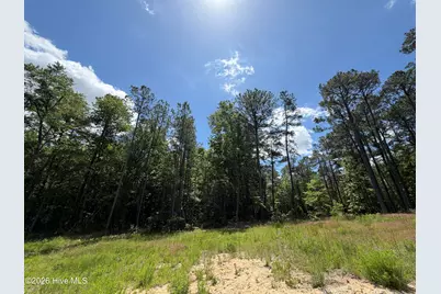 979 Aiken Road, Vass, NC 28394 - Photo 19