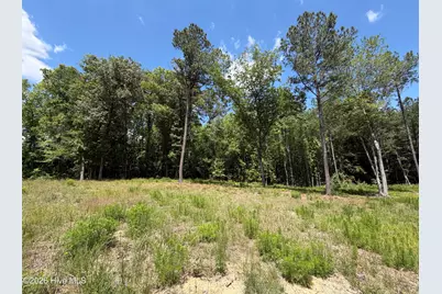 979 Aiken Road, Vass, NC 28394 - Photo 21