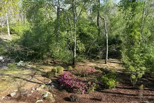 509 Granite Point, Martinez, GA 30907 - Photo 51