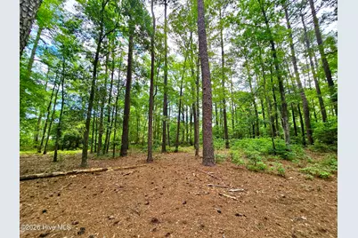 51 Sunfield Drive, Carolina Shores, NC 28467 - Photo 47