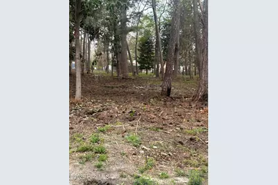 205 Nancy Drive, Mar-Mac, NC 28333 - Photo 5
