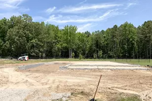 4507 Sweet Williams Ln, Wilson, NC 27896 - Photo 3