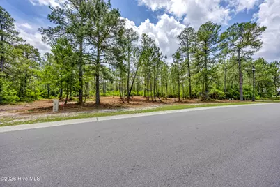 9632 Fallen Pear Lane NE, Leland, NC 28451 - Photo 3