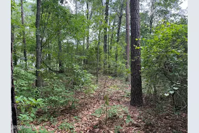118 Ferret Run Lane, New Bern, NC 28562 - Photo 5