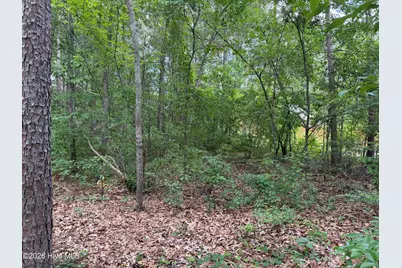 118 Ferret Run Lane, New Bern, NC 28562 - Photo 7