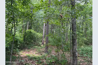 118 Ferret Run Lane, New Bern, NC 28562 - Photo 9