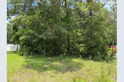 118 Ferret Run Lane, New Bern, NC 28562 - Photo 3