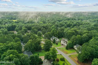 262 Clayton Pointe Drive, Clayton, NC 27520 - Photo 33