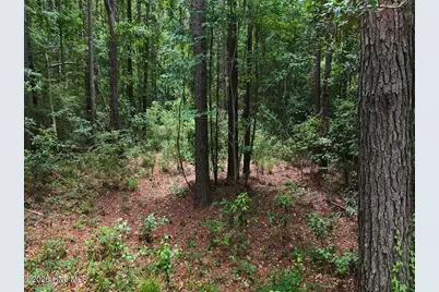 0 Ruby's Lane, Maysville, NC 28555 - Photo 23