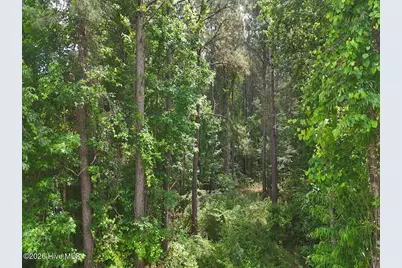 0 Ruby's Lane, Maysville, NC 28555 - Photo 25