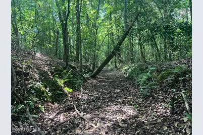 0 Ruby's Lane, Maysville, NC 28555 - Photo 27