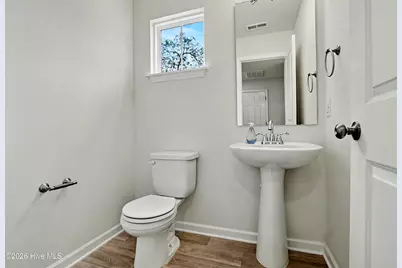 410 Fifty Lakes Drive, Boiling Spring Lakes, NC 28461 - Photo 11