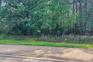 1048 Clinton-Williams Rd, Lincolnton, GA 30817 - Photo 1