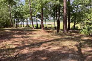 163 Barksdale Dr, McCormick, SC 29835 - Photo 41