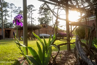 2589 Sidney Cherry Grove Road, Clarendon, NC 28432 - Photo 71