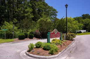 210 Brittany Ln, Stella, NC 28582 - Photo 87