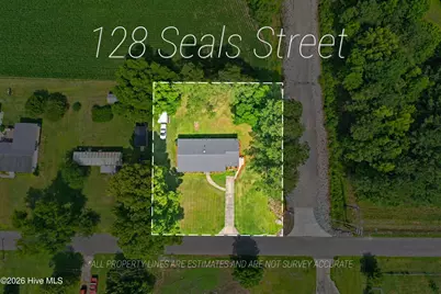 128 Seals Street, Tabor City, NC 28463 - Photo 59