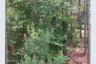 111 Callis Circle, West End, NC 27376 - Photo 15