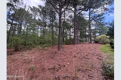 111 Callis Circle, West End, NC 27376 - Photo 17