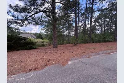 111 Callis Circle, West End, NC 27376 - Photo 3