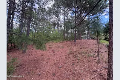 111 Callis Circle, West End, NC 27376 - Photo 13