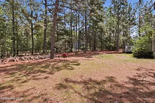 102 Pinesage Dr, West End, NC 27376 - Photo 25