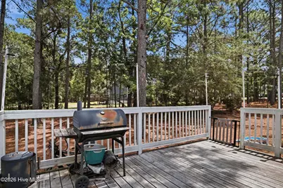 102 Pinesage Drive, West End, NC 27376 - Photo 21