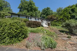 334 Case St, Columbus, NC 28722 - Photo 3