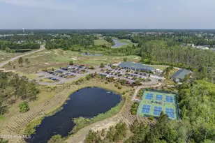 1081 Sandy Grove Pl, Leland, NC 28451 - Photo 49
