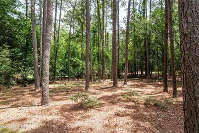 4059 Pheasant Run Drive, Aiken, SC 29803 - Photo 67