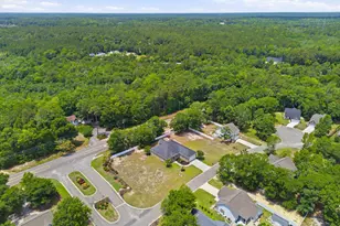 463 N Wild Rice Dr SW, Supply, NC 28462 - Photo 67