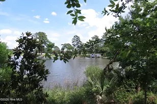 368 Winding Creek Dr, Oriental, NC 28571 - Photo 67