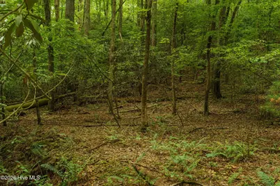 Lot 9 Holly Ridge Lane, Murphy, NC 28906 - Photo 5