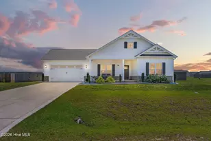 208 Fynloch Chase Dr, Fremont, NC 27830 - Photo 1