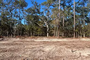 Lot 58 Peninsula Pkwy, Southport, NC 28461 - Photo 1