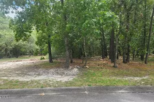 537 Estevao Ln SE, Bolivia, NC 28422 - Photo 1
