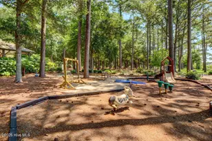 3807 Rdg Crst Dr, Southport, NC 28461 - Photo 87