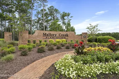 352 St Kitts Way, Winnabow, NC 28479 - Photo 43